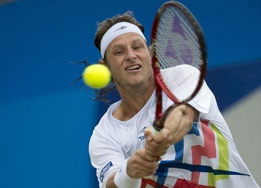 Argentina's David Nalbandian