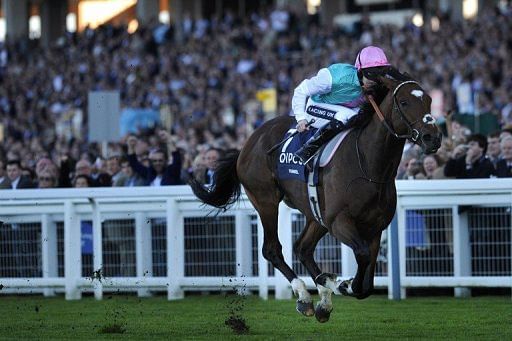 Frankel's place in racing folklore cemented Frankel's place in racing folklore cemented