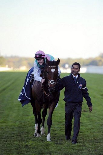 The original plan for Frankel was always to bow out at Ascot in the Champion Stakes on October 20 The original plan for Frankel was always to bow out at Ascot in the Champion Stakes on October 20