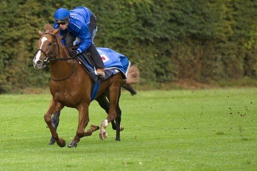 Japan's 2011 horse of the year was drawn in stall 18, from where just one winner has come in its 90 editions Japan's 2011 horse of the year was drawn in stall 18, from where just one winner has come in its 90 editions