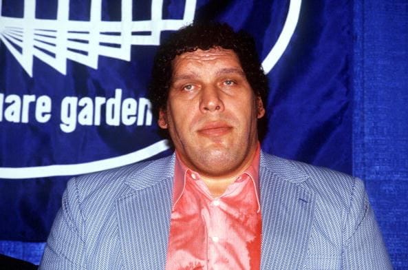 The Greatest Heels in WWE History – No. 8