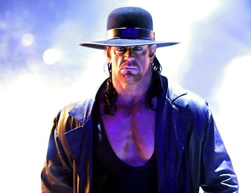 Image result for wwe undertaker