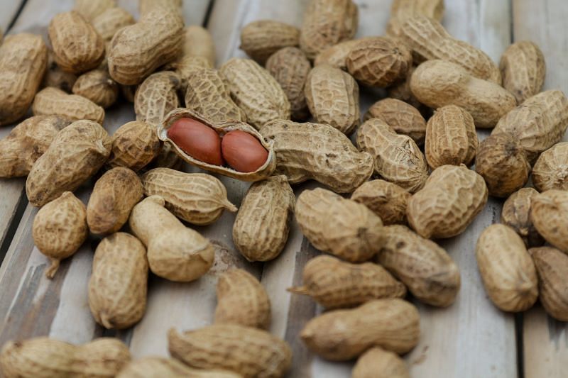 7 High-Protein Low-Carb Foods You Should Have