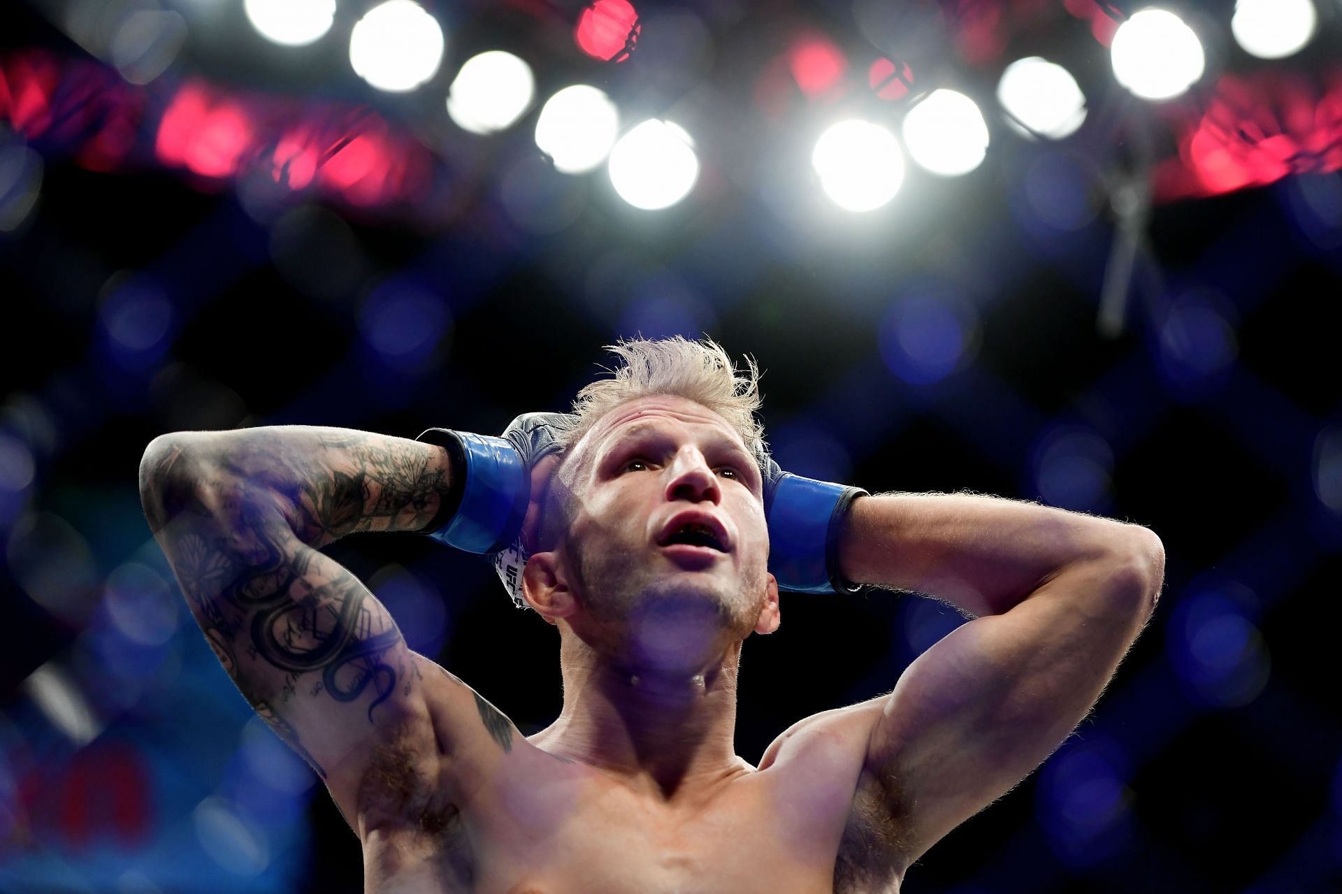 Did T.J. Dillashaw compete in the UFC flyweight division?