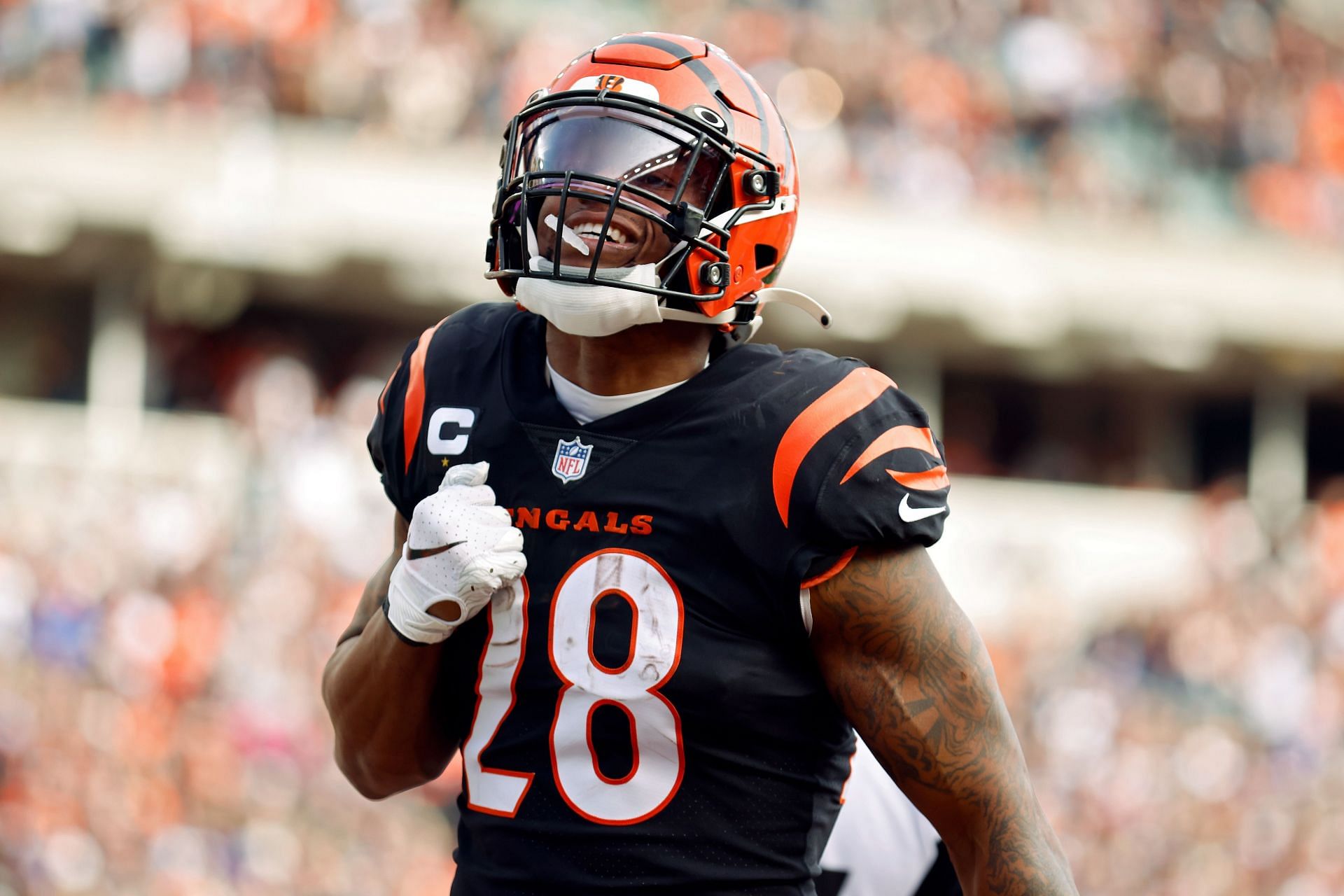 Joe Mixon, Cincinnati Bengals, RB - News, Stats, Bio 