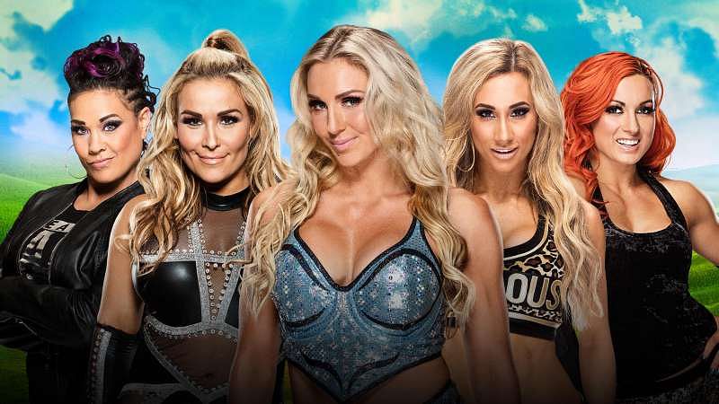 Image result for women's money in the bank ladder match